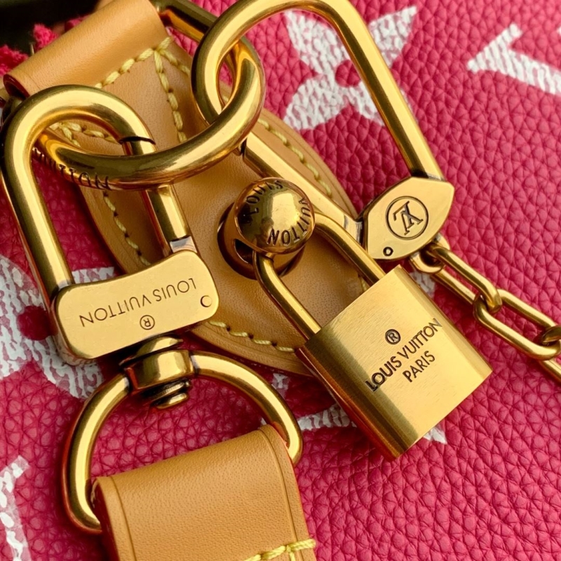 LV Speedy Bags